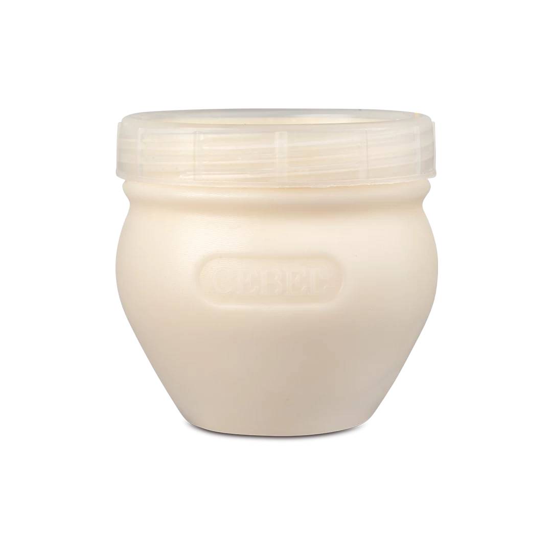 tam yağlı sade bidon tulum peynir 400 gr